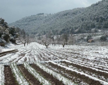 agricultura